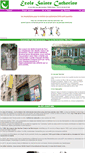 Mobile Screenshot of ecolesaintecatherine.com
